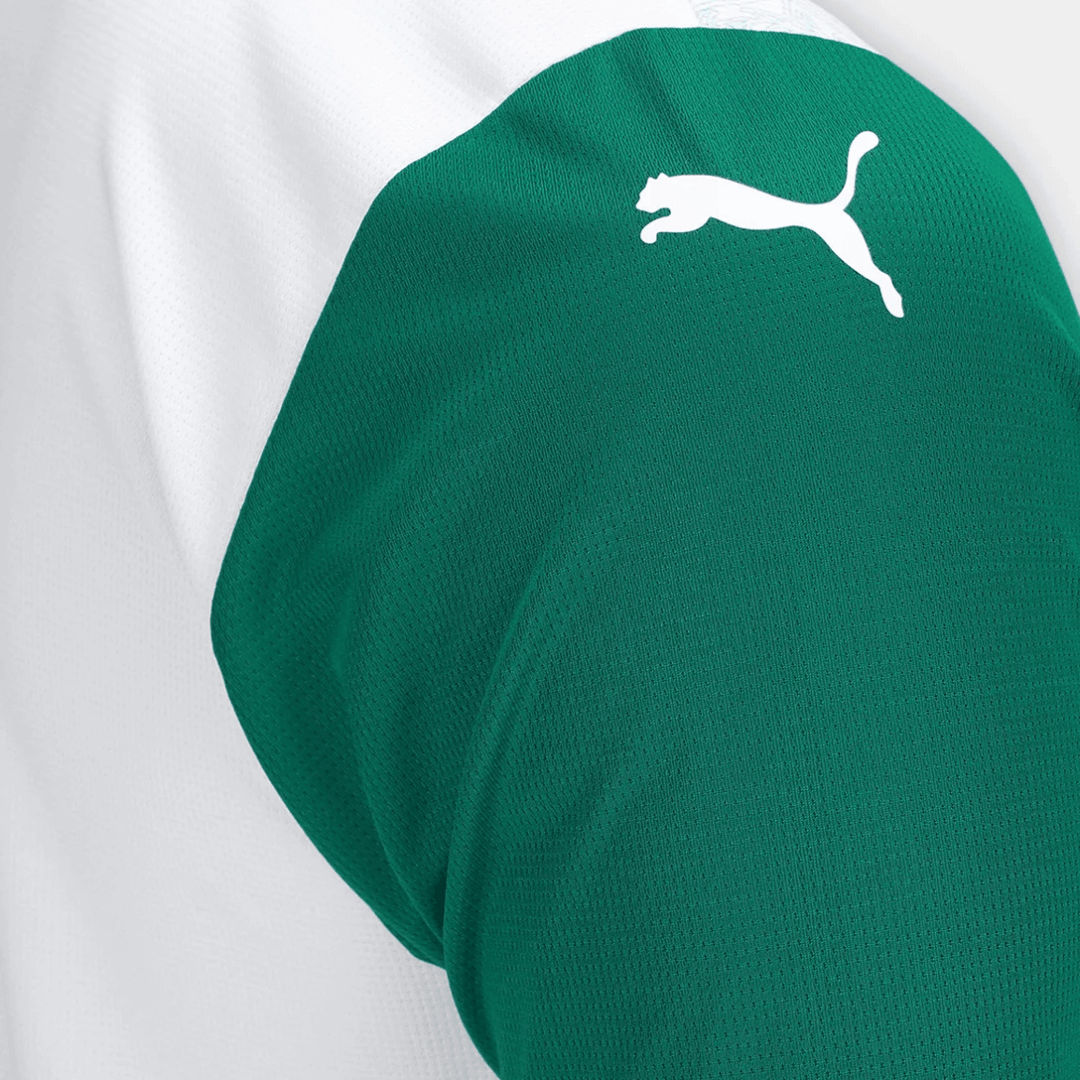 Camisa Palmeiras away 25/26