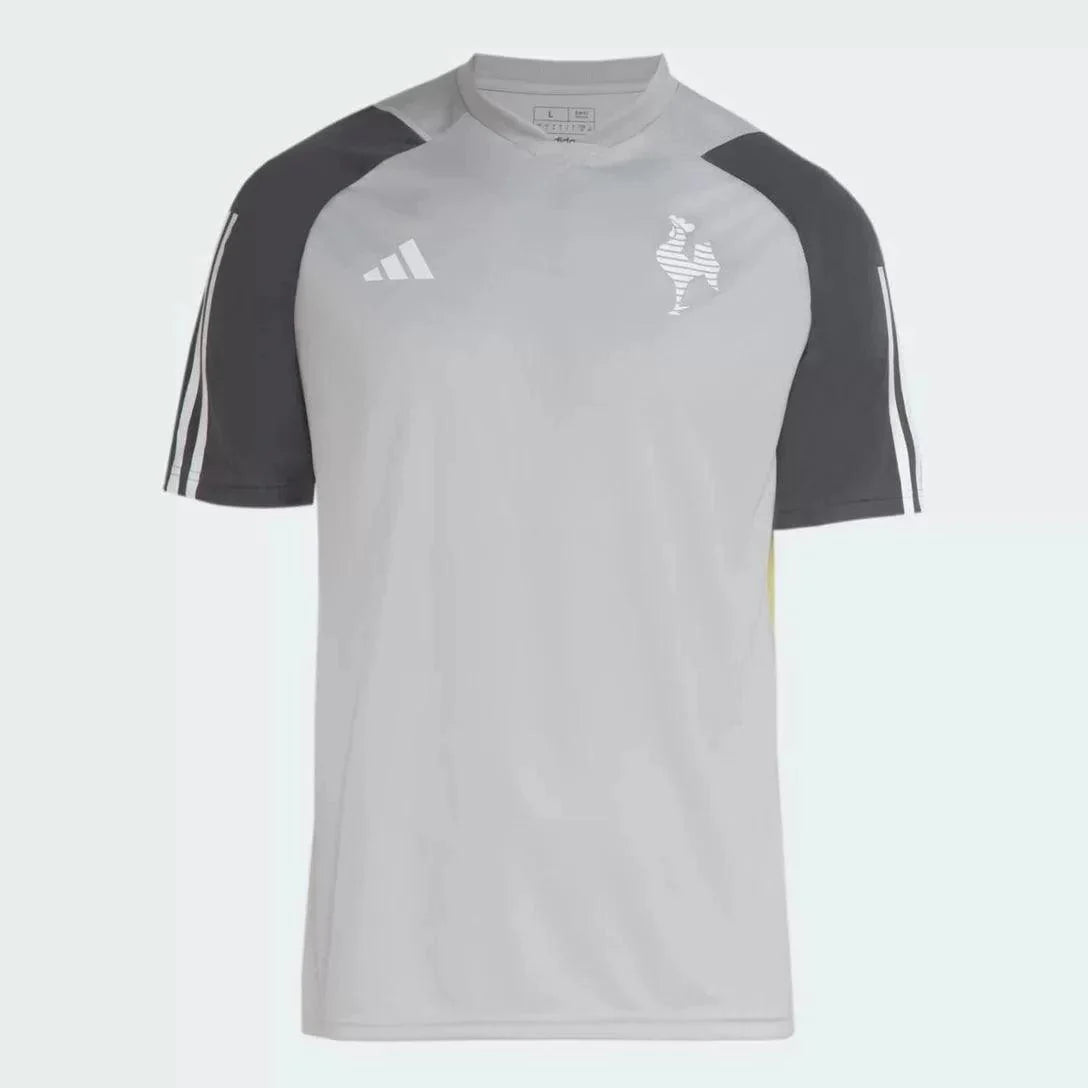 Atlético Mineiro treino 24/25